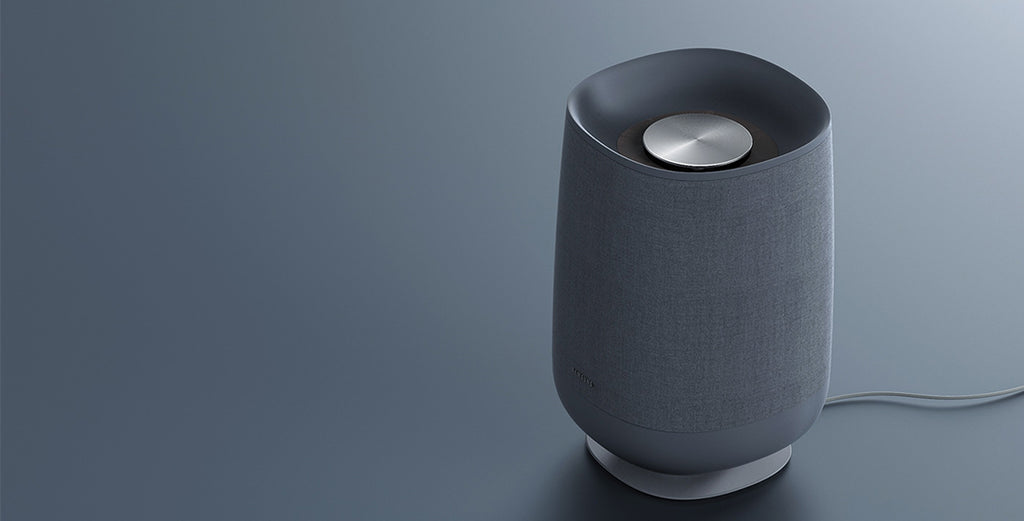 Modern Vintage Handdryed